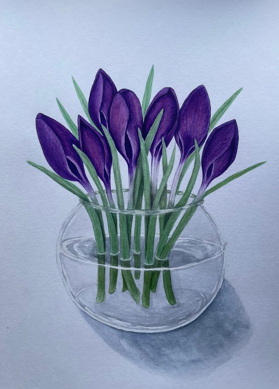 First Crocuses
