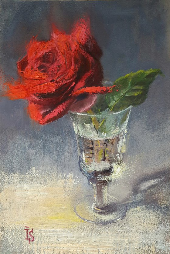 Red Rose in the glass