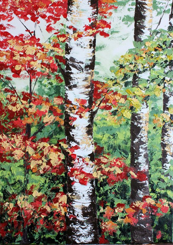 Colorful birches