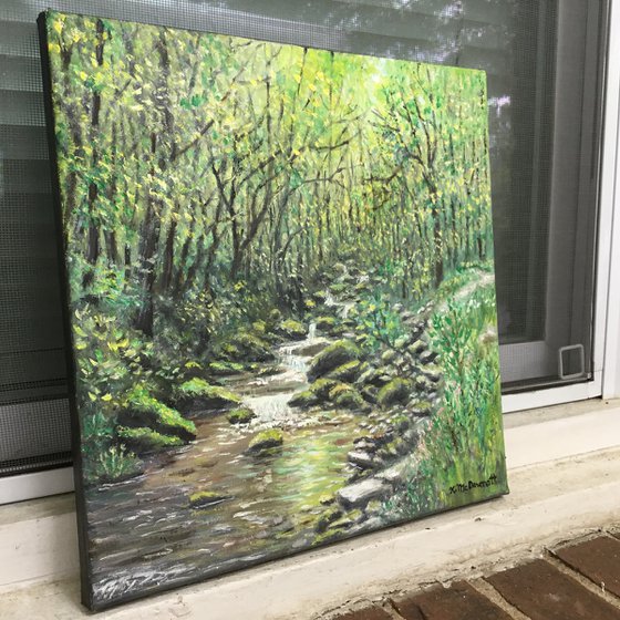 CREEK NEAR OLD FORT NC   (SOLD)