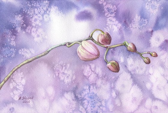 Ukrainian watercolour. Winter orchids