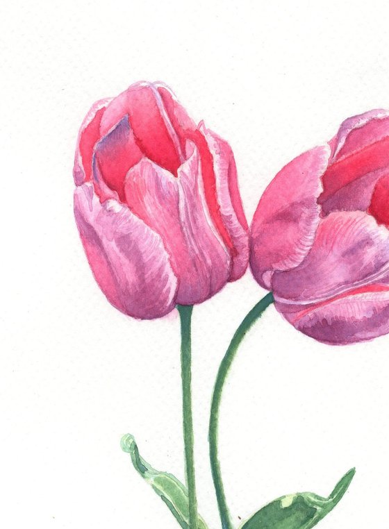 Whispering Tulips