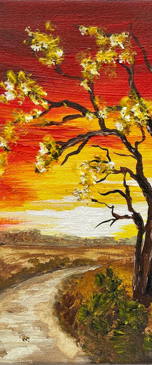 Sunset in the New Forest by Marja Brown