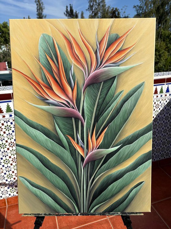TROPICAL ORANGE STRELITZIA