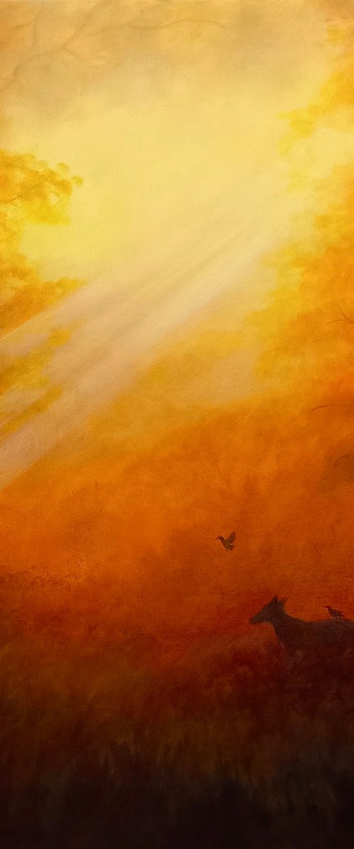 Lumière Dorée by Lee Campbell