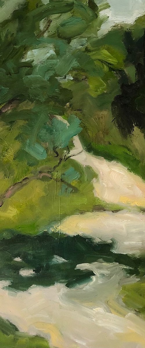 Forest Valley by Joanna Farrow