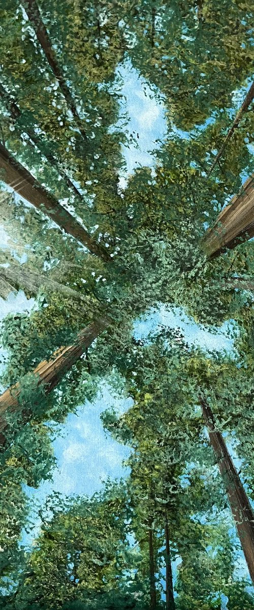 Skyward by Victoria Obolensky