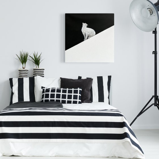 Minimalist Cat That’s Too Cool to Ignore