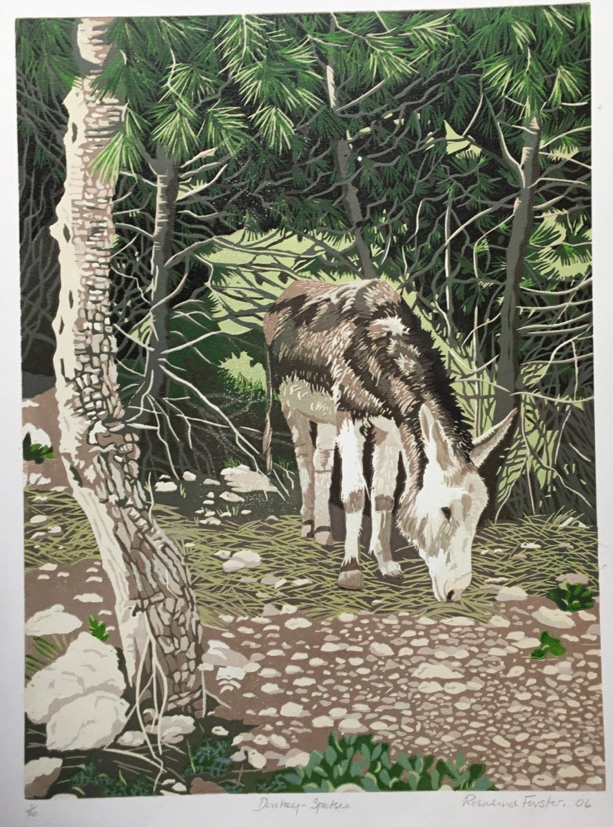Donkey Spetses by Rosalind Forster