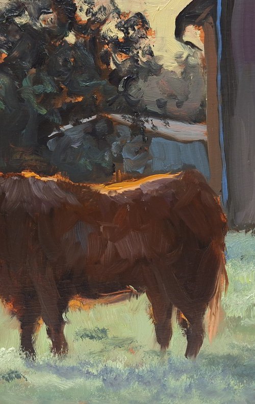 Bull On A Summer's Evening by Robert Mee