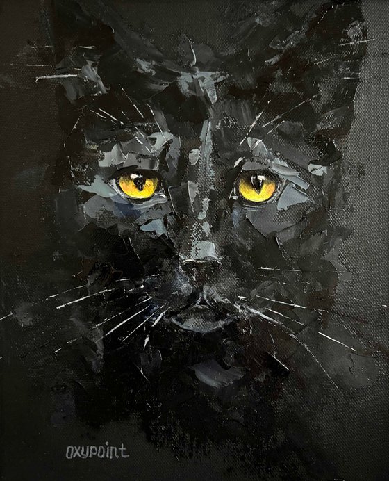 "Black cat on black"