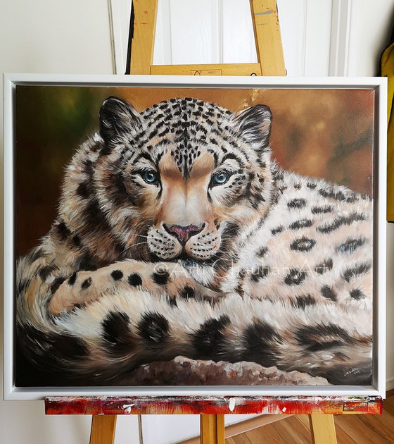 Kingley the Snow Leopard