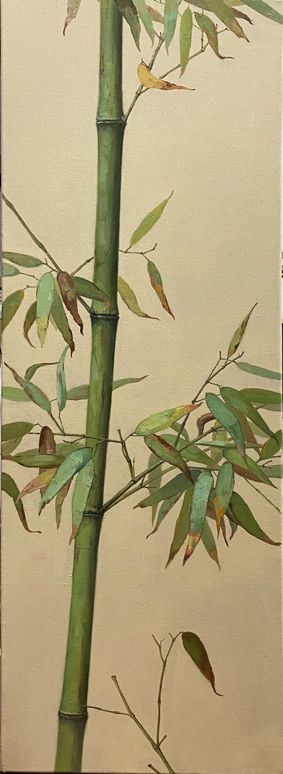 Zen art:Bamboo