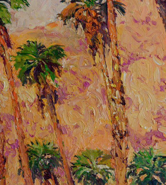 Desert Palms and Mountains. Palm Springs