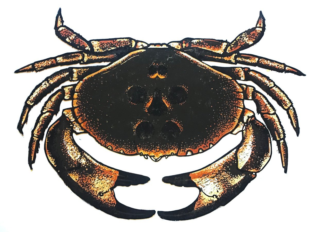 Crab linocut print - red by Ieuan Edwards