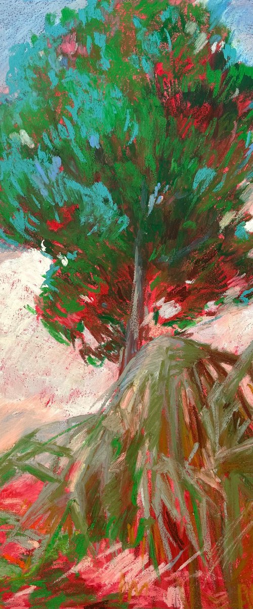 Tree portrait by Anna Bogushevskaya