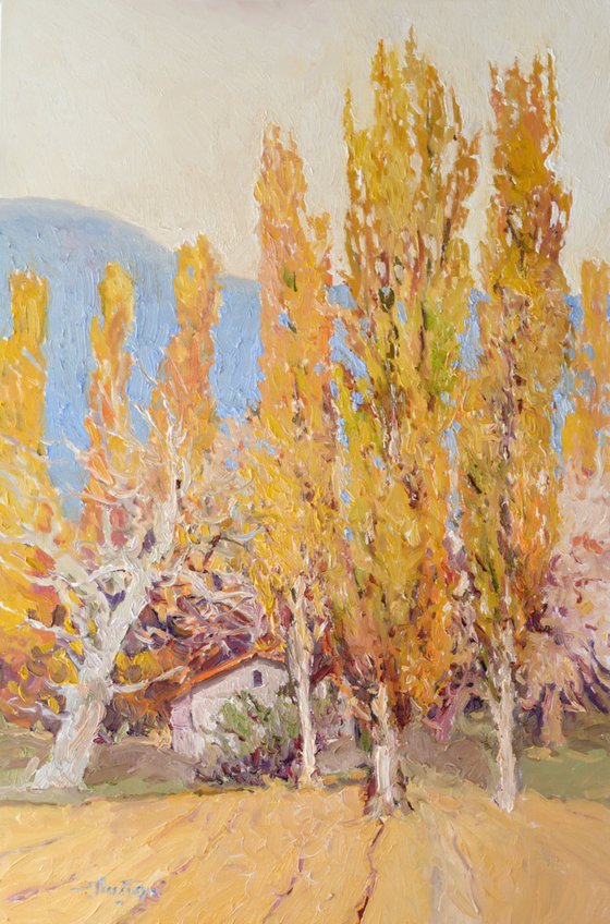 Poplars, Fall