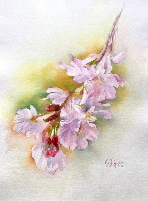 Cherry Blossom by Natalia Galnbek