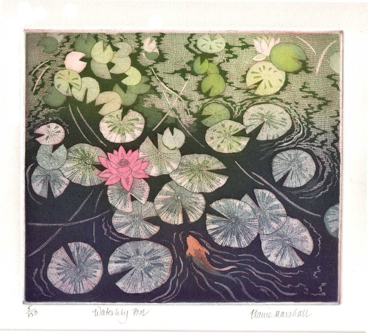 Waterlily pool by Elaine Marshall