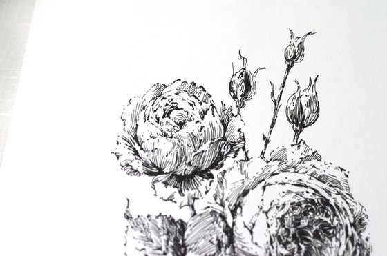 Ink David Austin Roses