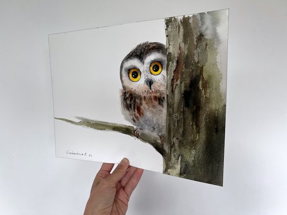 Little owl on a branch #10