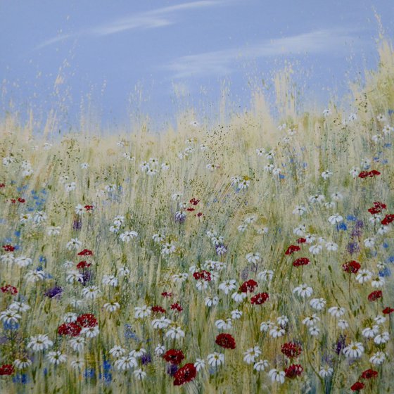 Daisyfield