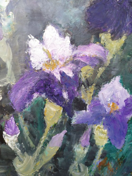 Irises, the flowers of spring