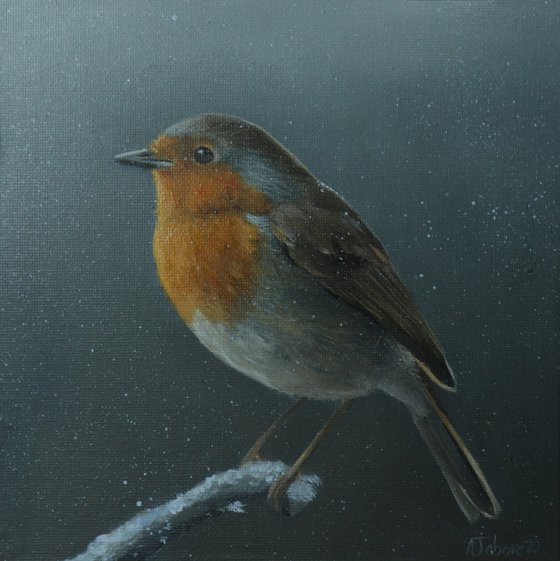 Lockdown's Morning Chorus Series - Robin in the Snow, Bird Artwork, Animal Art Framed