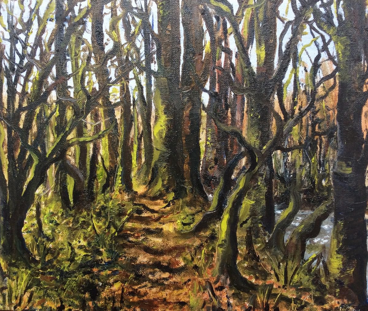 Winter Woods by Lucy Smerdon