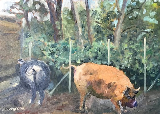 Delightful Kune Kune Pigs - an original oil painting!