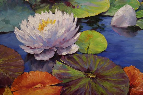 "Garden on the water"