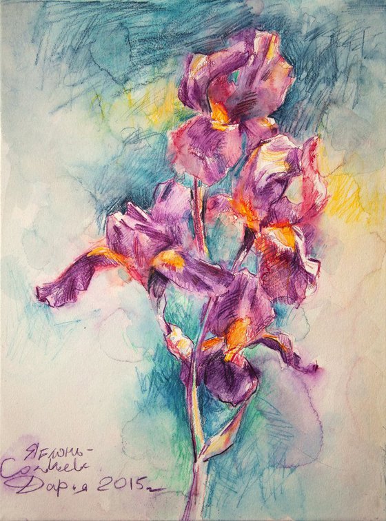 'British garden. Morning Irises'