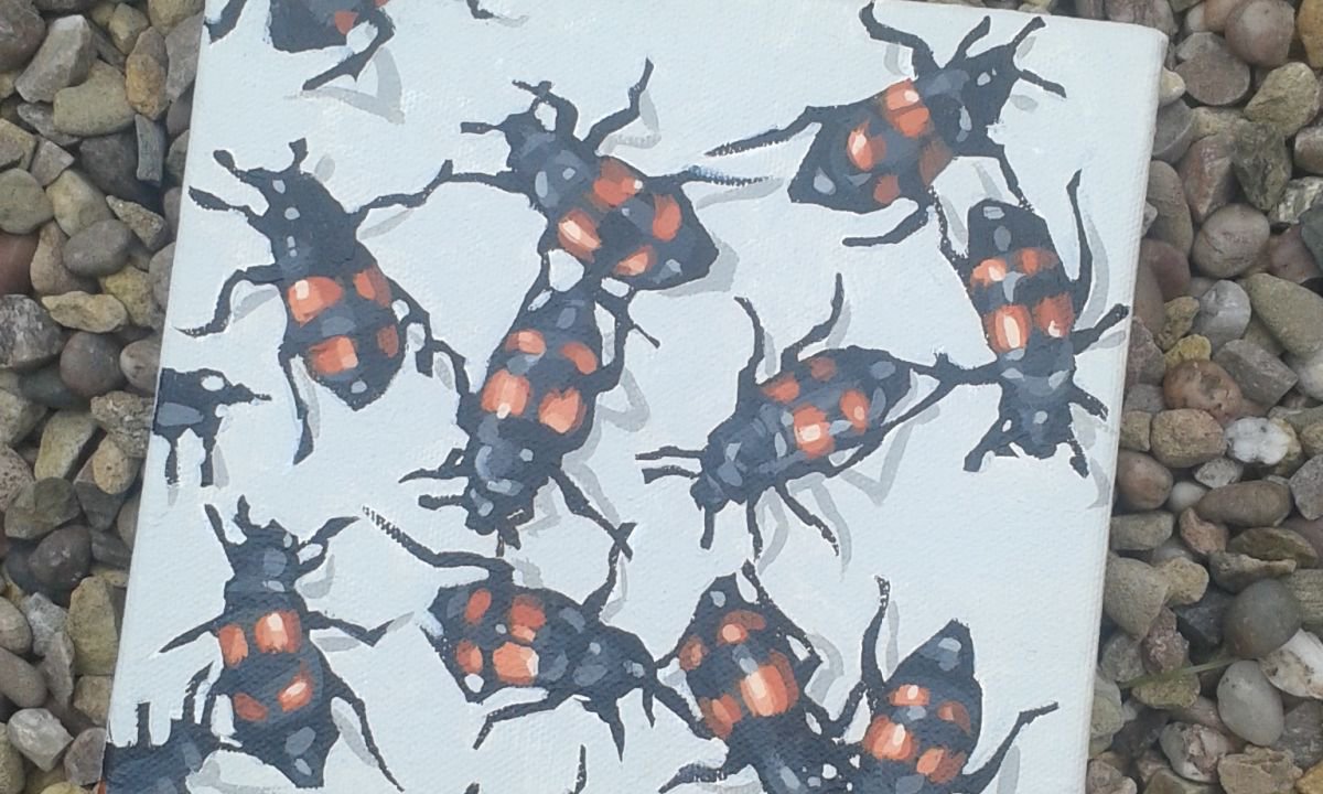 Beetles by Matthew Stutely