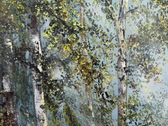 Birch Forest