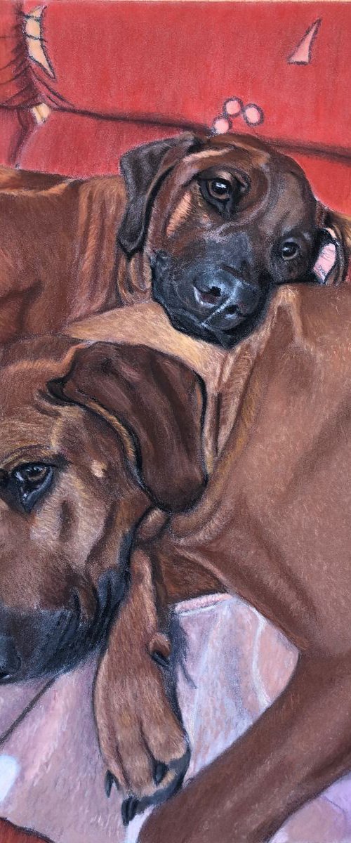 Pet Portrait Commissions (A3) by Gary Thomas