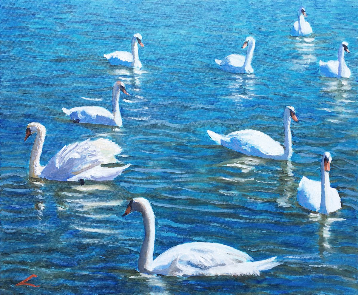 Impressionistic Animal Oil Painting By Elena Sokolova, 24 X 20, Swans, Original Artwork