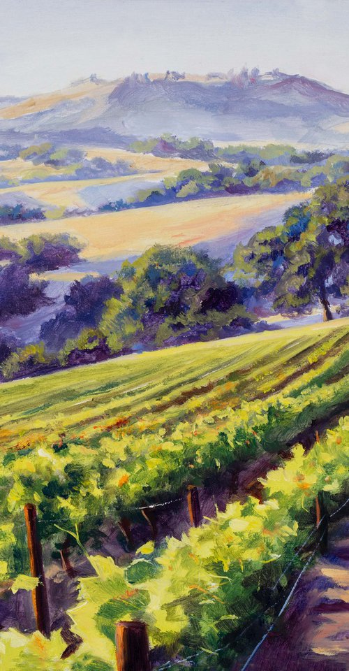 California vineyard landscape by Lucia Verdejo