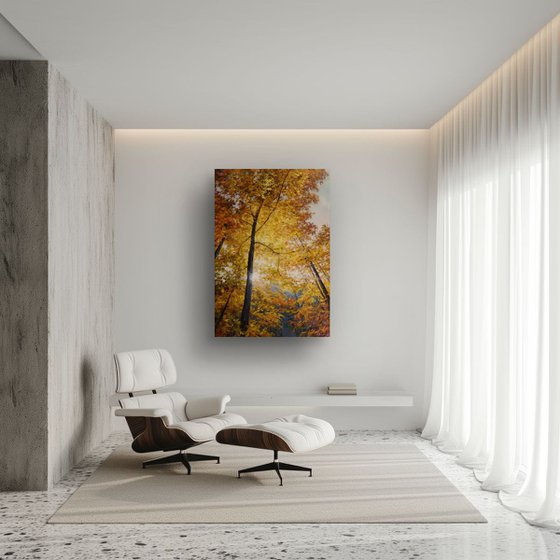 "Serenade of the Season"