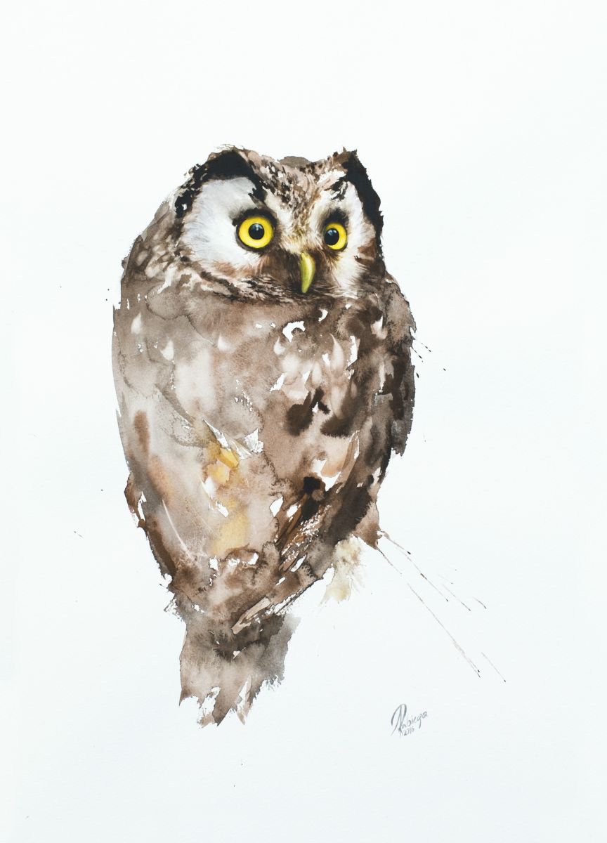 Illustrative Watercolour , Boreal Owl (Aegolius Funereus) By Andrzej Rabiega, 16 X 22, Artwork For Sale On Artfinder