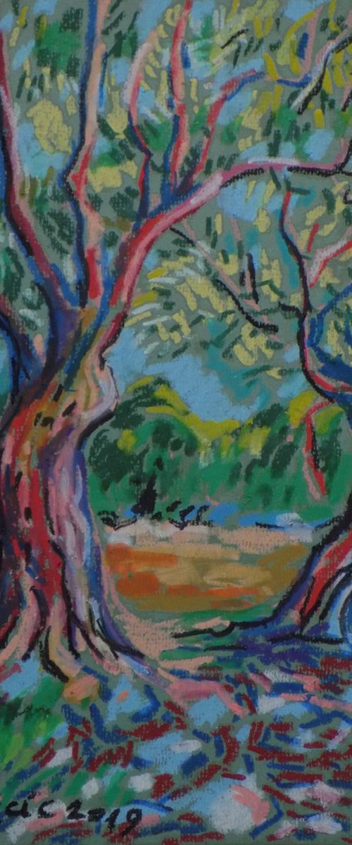 Olive grove No 7 by Maja Grecic