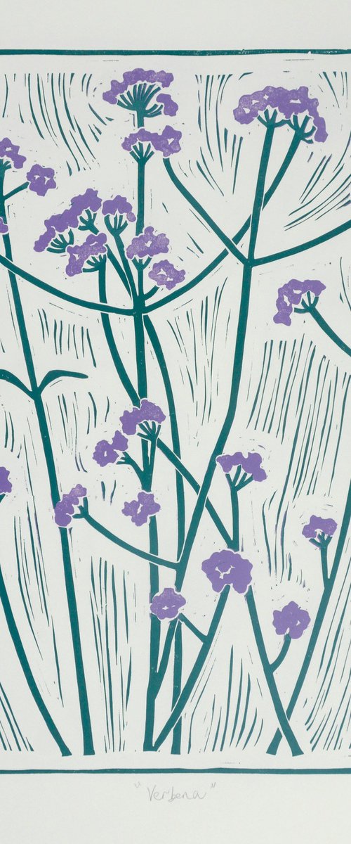 Verbena by Melissa Birch