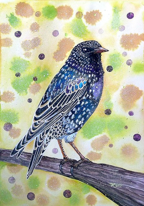 Starling by Terri Smith