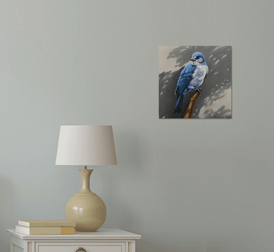 Blue Jay’s Vigil