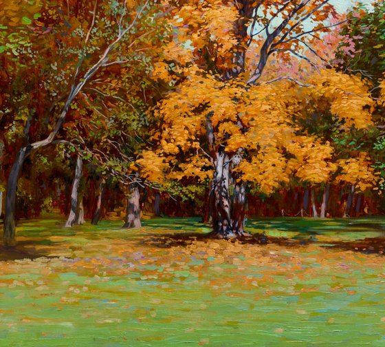 Golden maple