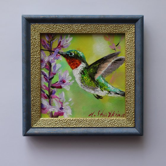 Hummingbird Painting Oil