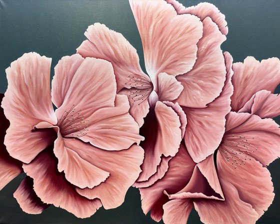 Roses 1