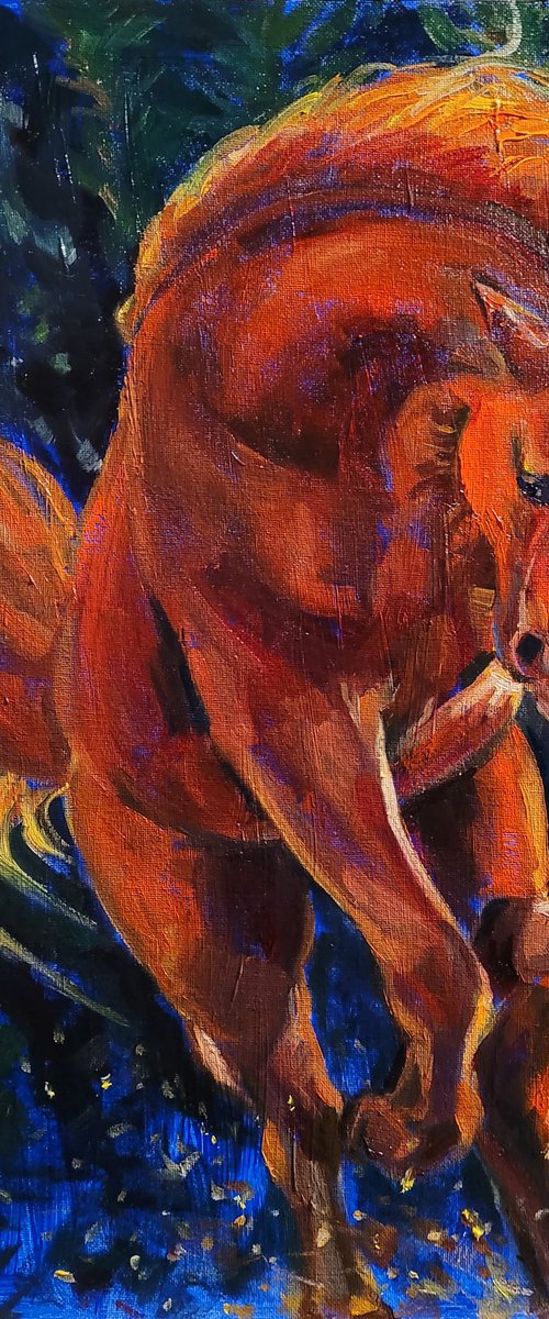 Night Horse, Original Oil Painting, Contemporary,2023, US by QI Debrah