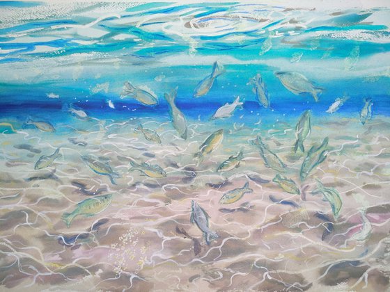 Sea shore fishes