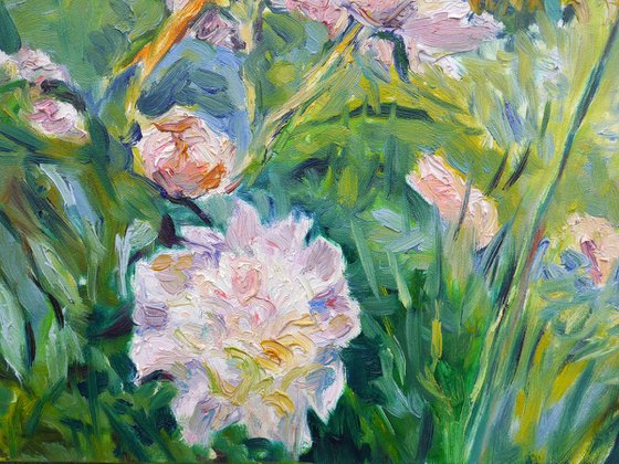 Peonies and Lilies in a Garden