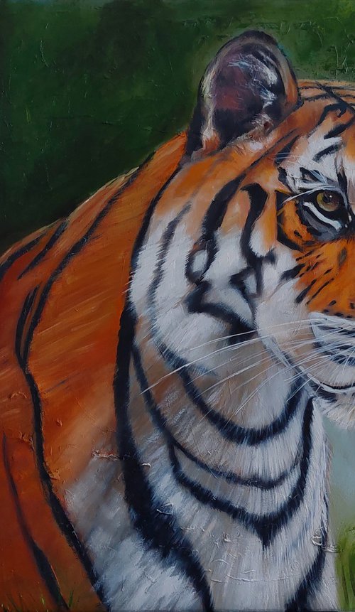 Something unknow. Tigr. Wild Animal by Ira Whittaker